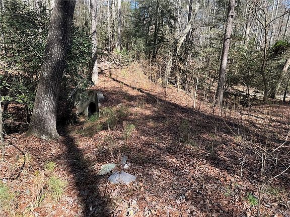 4th image of 0 Golden Hickory Drive