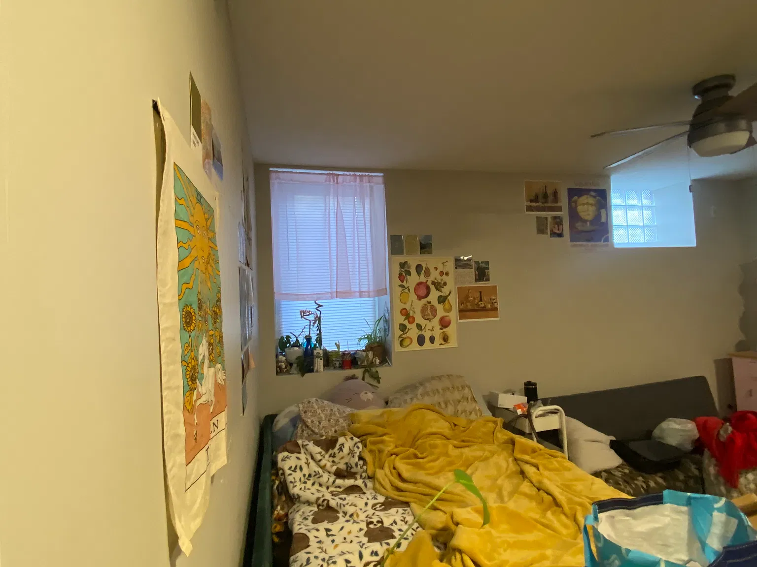 Studio, $909 — Photo 4