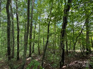 99999 Morning Star Dr LOT 13, Leicester, NC 28748