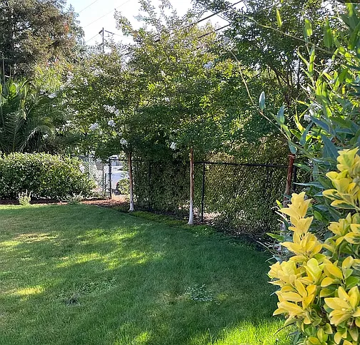 4 bed, 1580 sqft, $6,500 — Photo 2