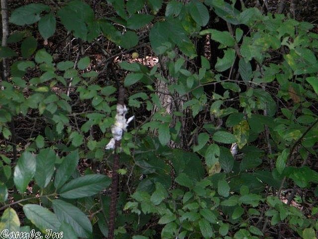 2nd image of 1000 E Edgewater Rd