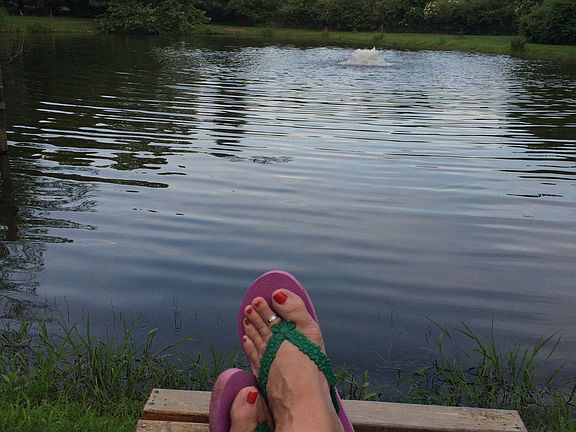 Lovely summers on the pond