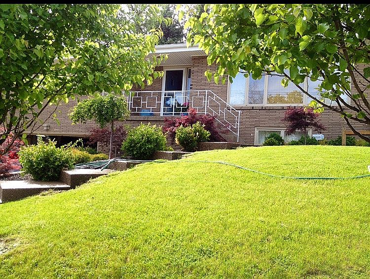 Front yard 