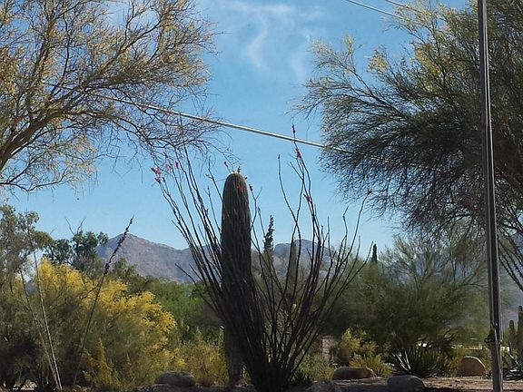 Front Window View