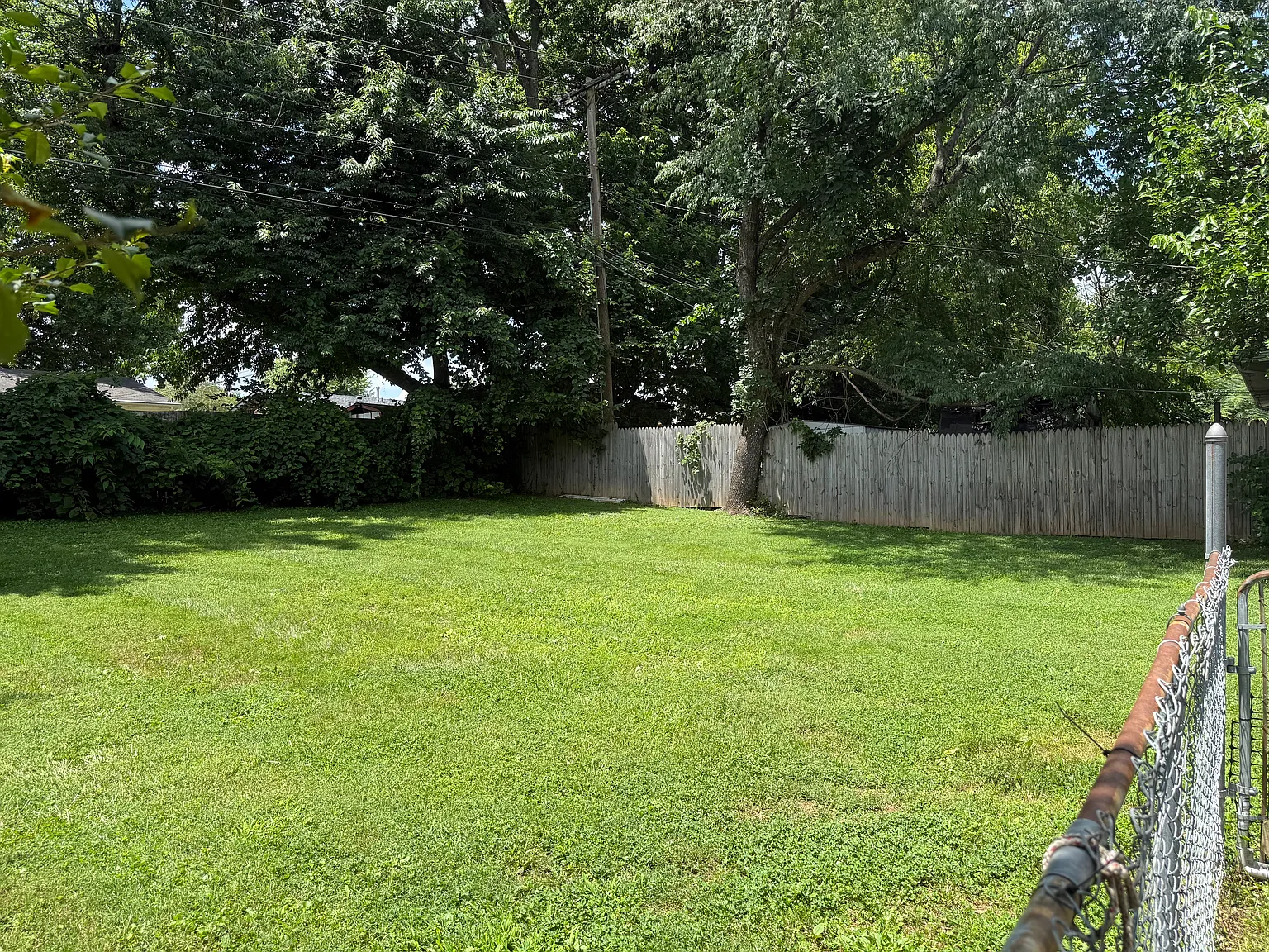 3 bed, 1100 sqft, $1,625 — Photo 3