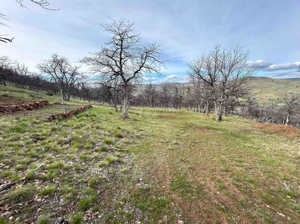 Lots 275 76 77 Cougar St, Hornbrook, CA 96044