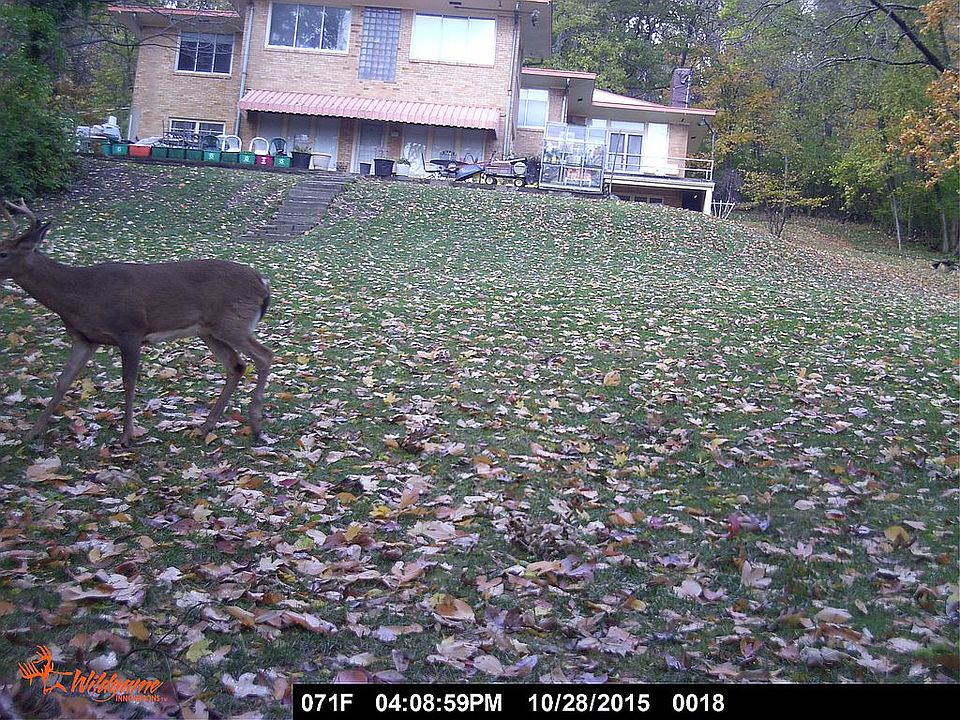 1st image of 3600 Dogwood Ln