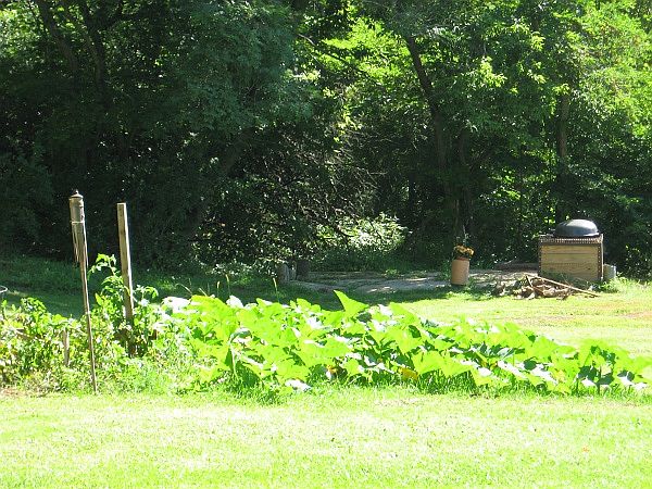 2nd image of 133 Fitzgerald Rd