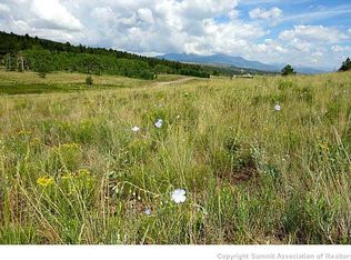 2160 Windmill Dr, Hartsel, CO 80449