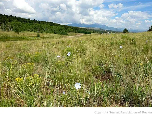 2160 Windmill Dr, Hartsel, CO 80449