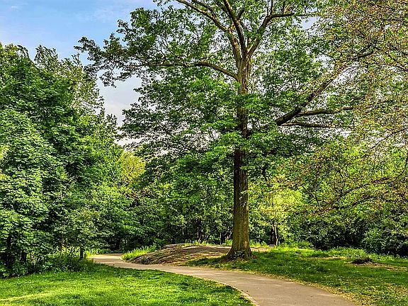 3rd image of 467 Central Park W APT 16B