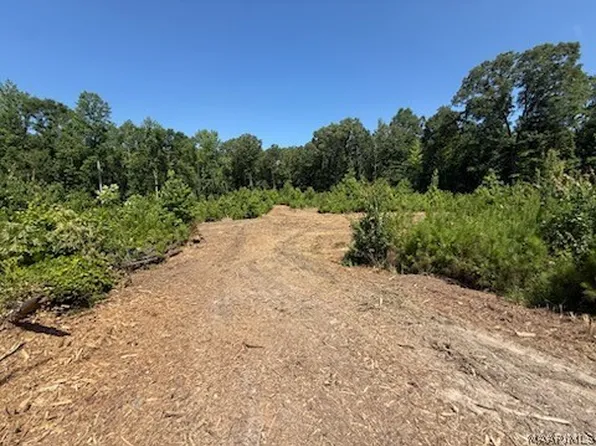 0 County Road 45, Rockford, AL 35136