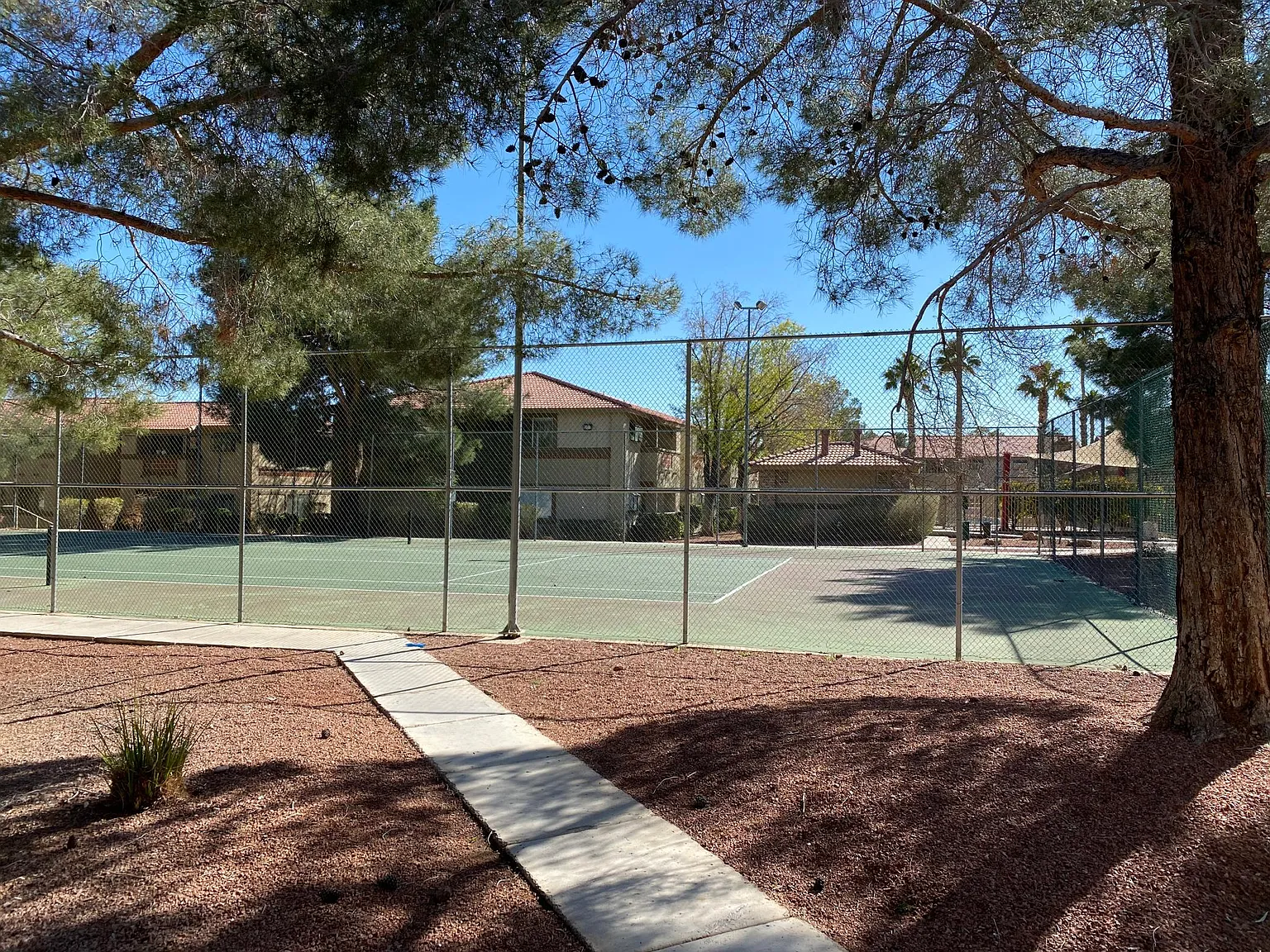 1 bed, 593 sqft, $1,000 — Photo 2