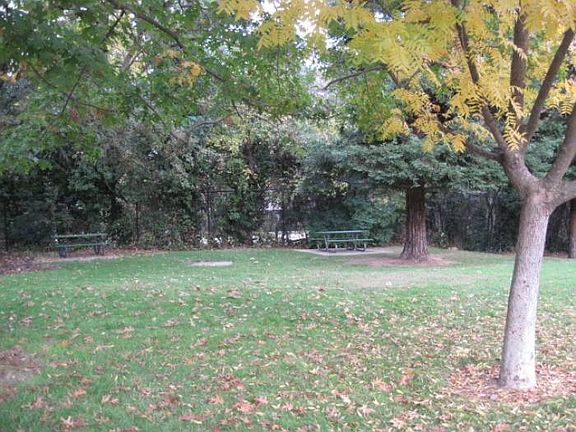 Park w/picnic tables