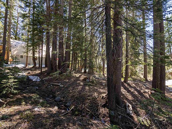 4th image of 50886 Jeffery Pine Dr