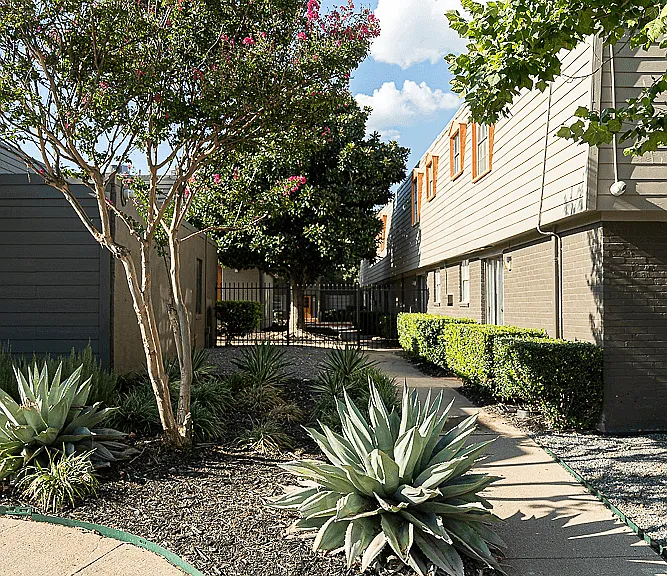 La Bella Apartments — Photo 8