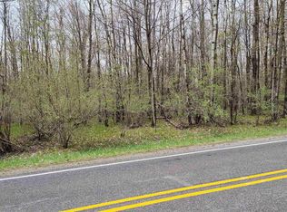 1150 Queensway Dr Lot 460, Weidman, MI