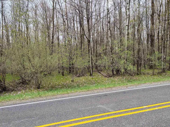 1150 Queensway Dr Lot 460, Weidman, MI 48893