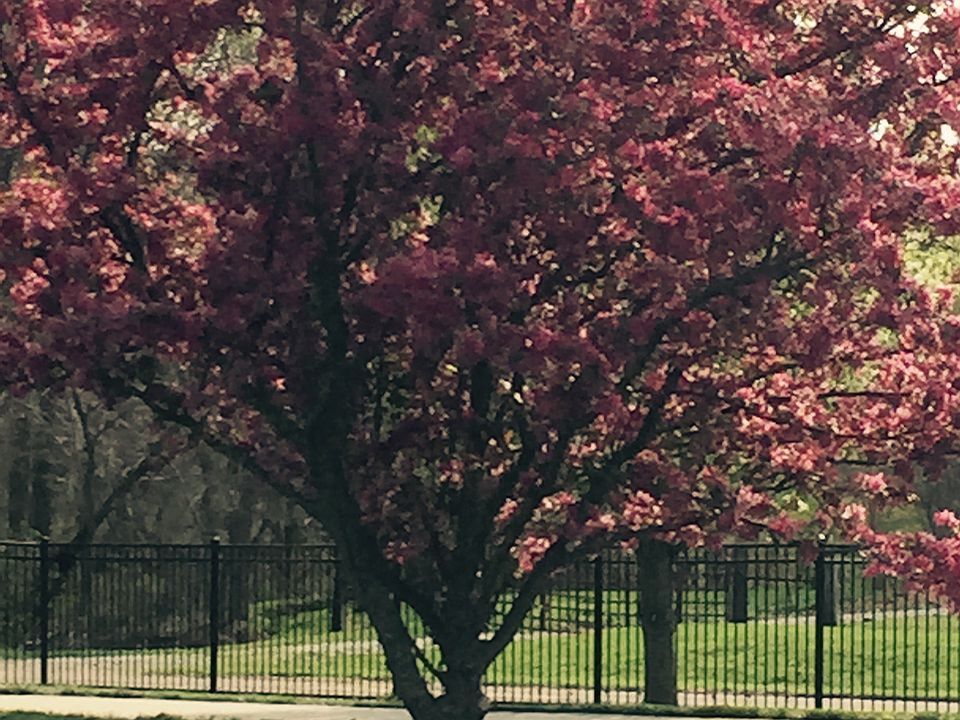 13401 State Route Cc SE, Faucett, MO 64448 Zillow