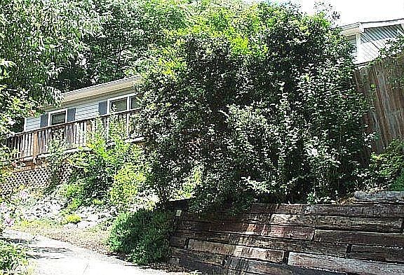 5th image of 1645 McCauley Ave