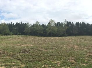 LOT 10 Colt Ln, Winter Garden, FL 34787