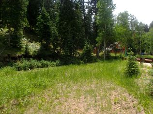 34138 Forest Estates Rd, Evergreen, CO 80439