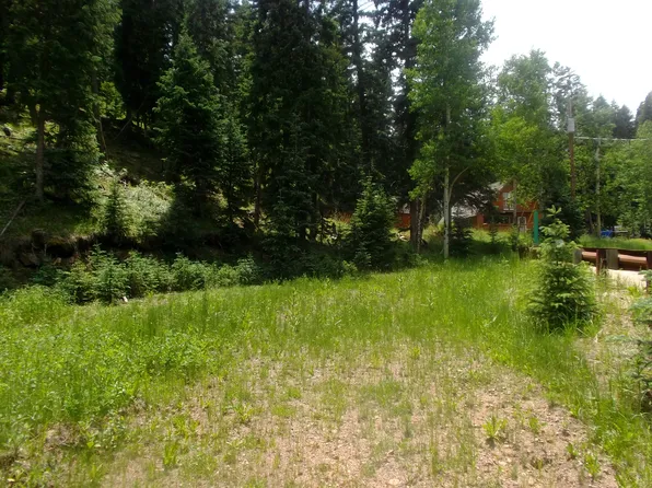 34138 Forest Estates Rd, Evergreen, CO 80439
