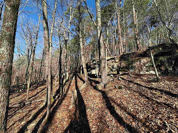 4th image of 0 Bear Mountain Rd