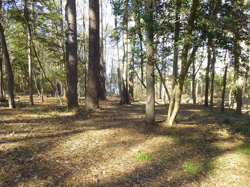 2nd image of 342 Lakeshore