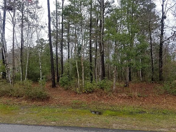 4th image of Lot 78r Royal Tern Drive