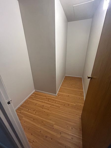 Winnipeg Apartment for rent - 1 Bedroom — photo 8
