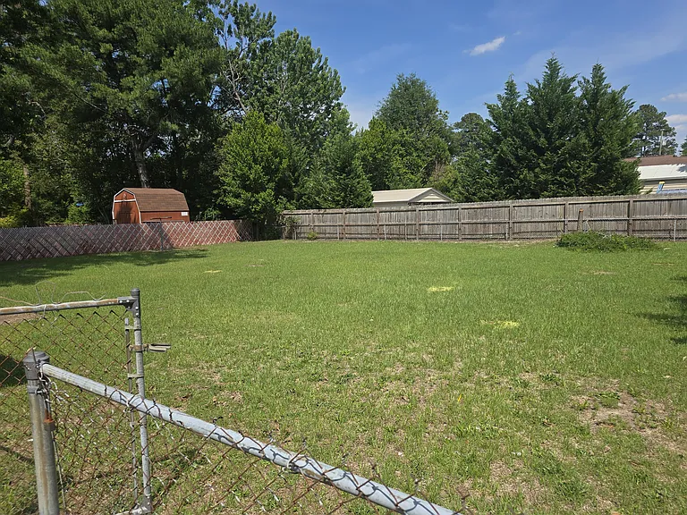 Back yard