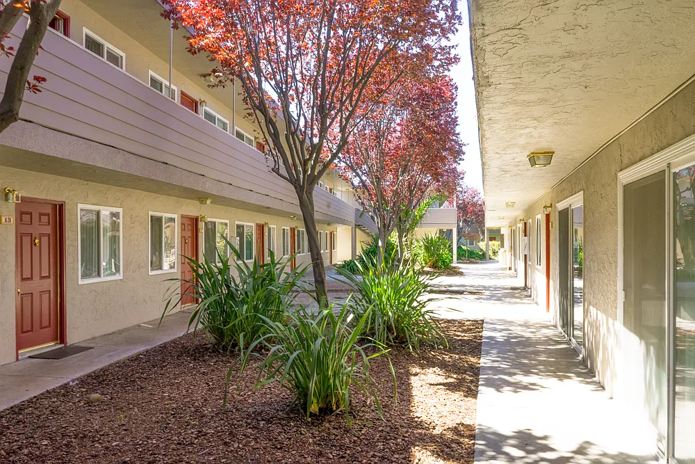 Alder Park Apartments — Photo 1