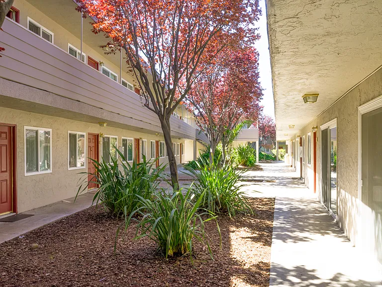 Alder Park Apartments — Photo 1