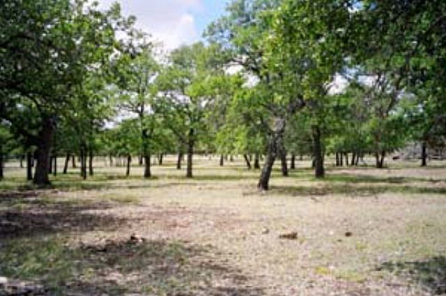 1st image of 0 Vintage Oaks Dr