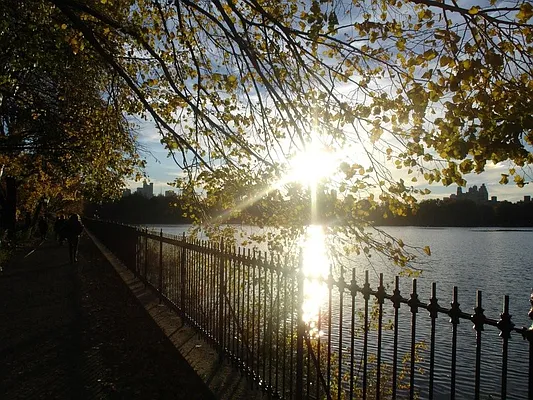 Rented by Corcoran | media 12