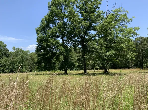 0 Greenbriar Rd, Waverly, TN 37185