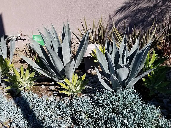 5th image of 3940 Laurel Canyon Blvd #310N