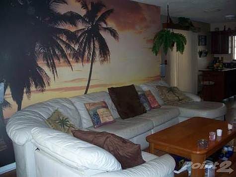 palm tree tv room