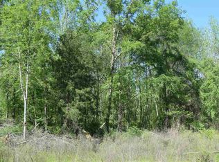 1 Buckeye Lot Pickens Is, Pickens, MS 39146