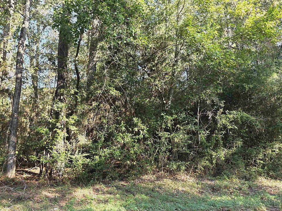 2nd image of 228 County Road 726