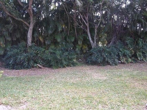 4th image of 9900 Kamena Cir