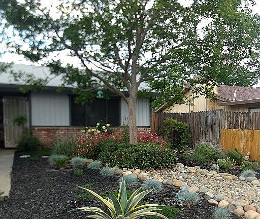 All waterwise plantings 