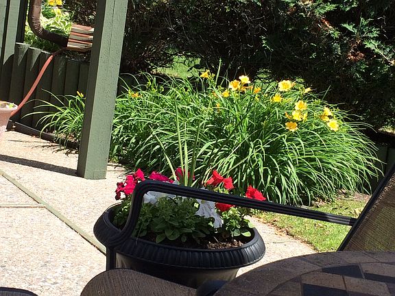 Patio Garden