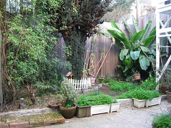 Yard