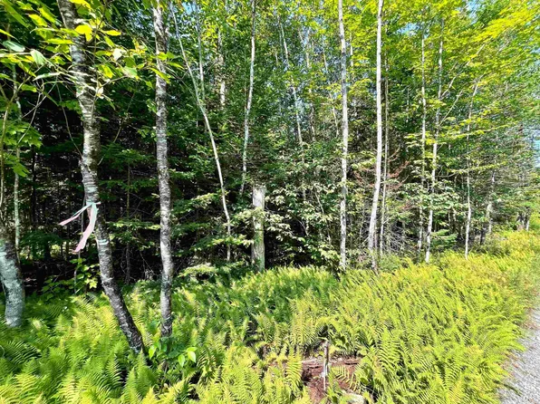 501 Martins Pond Lane, Peacham, VT 05862