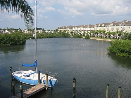 View from patio