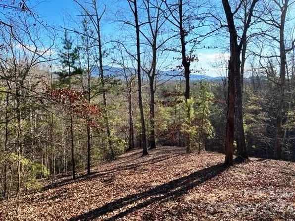 LOT 17 N Coast Dr #4, Mill Spring, NC 28756