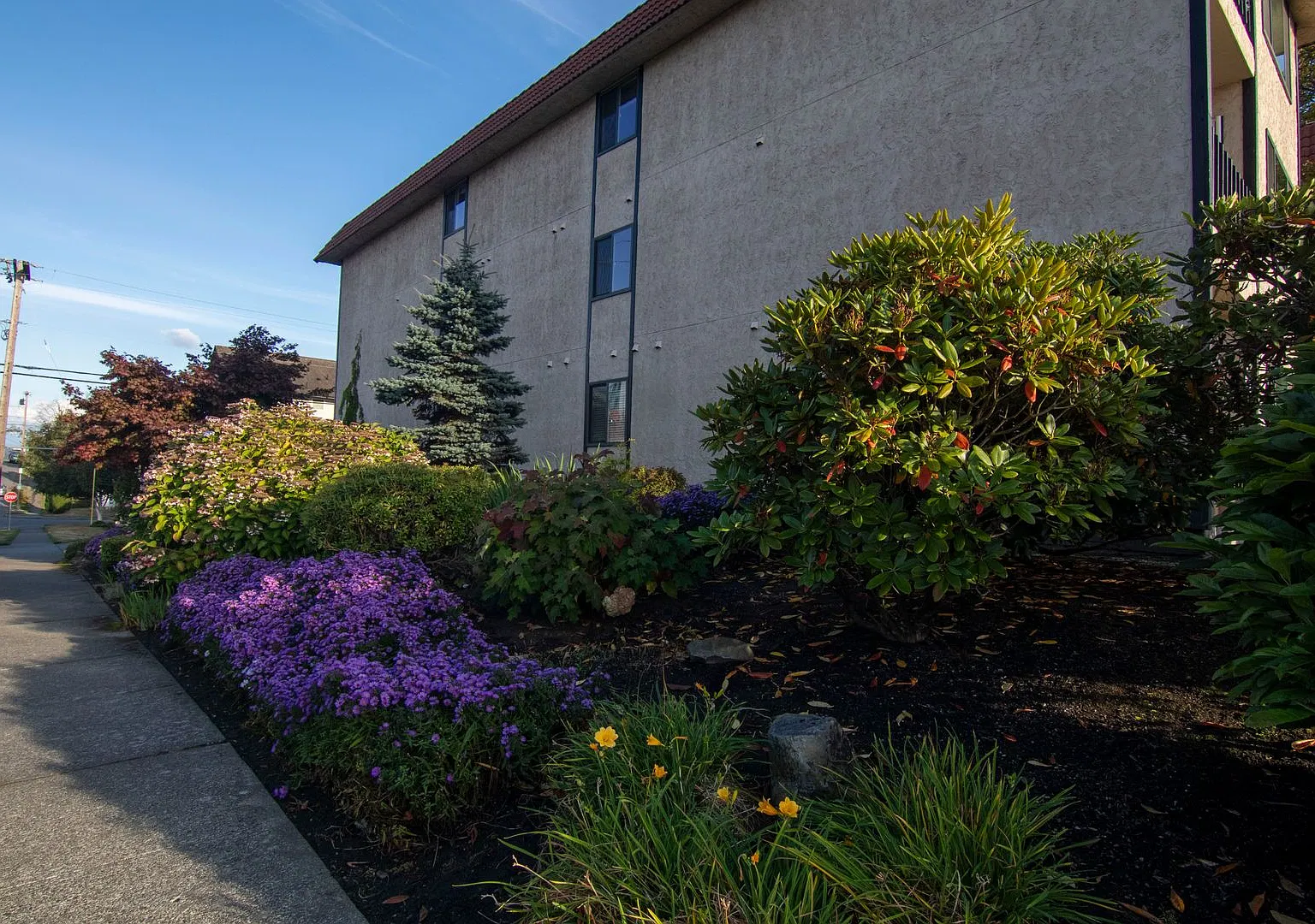 Spacious 1 bedroom 1 bathroom Condo in Downtown Everett! — Photo 1