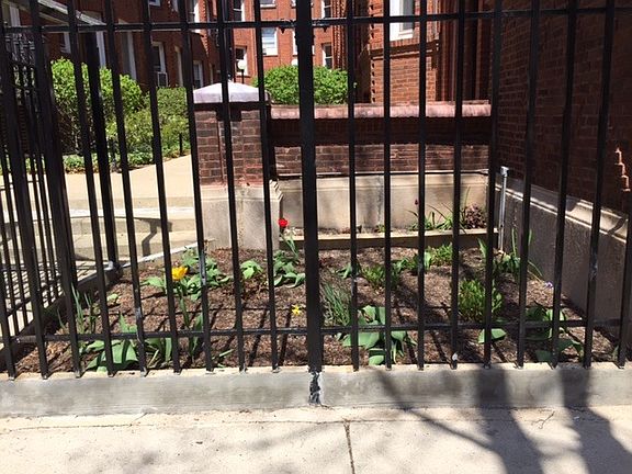 4th image of 1354 1/2 W Argyle St APT 2N